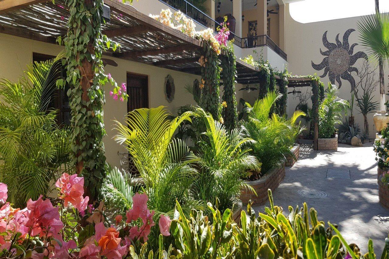 Posada De Las Flores La Paz Exteriér fotografie